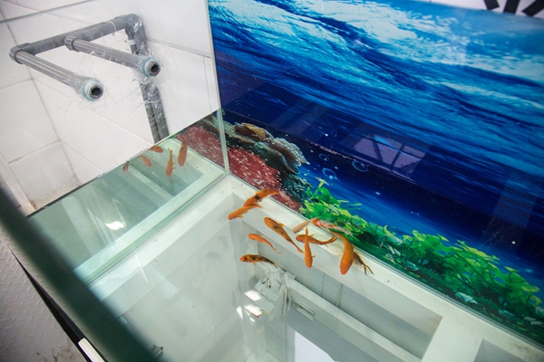 新宝线路检测中心