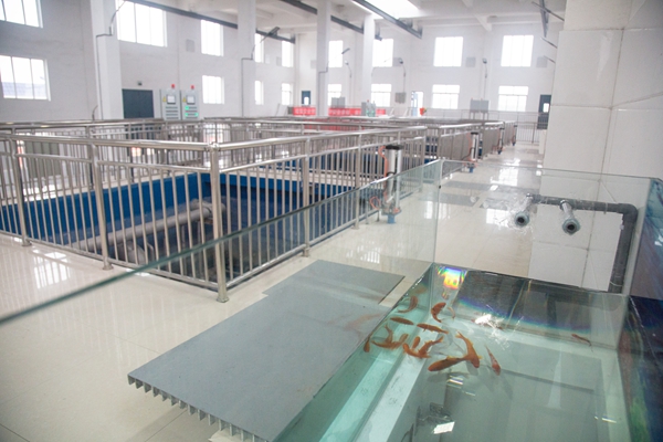 新宝线路检测中心